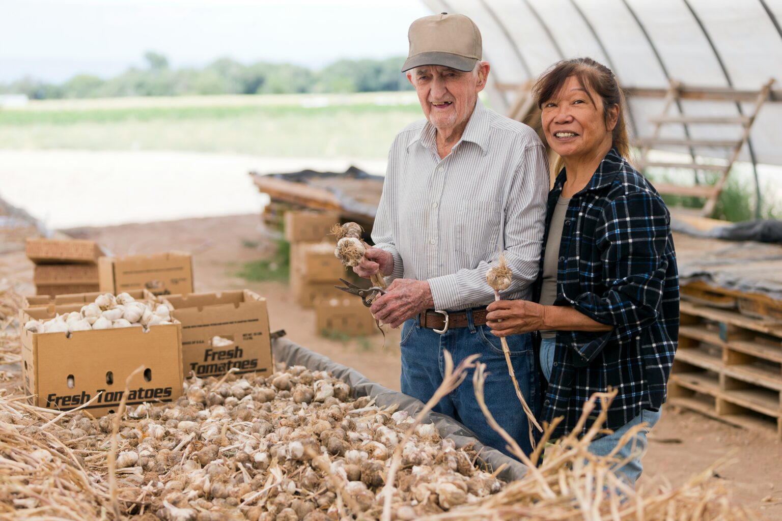 How to Start a Homestead With No Money in 2026 — 12 Steps That Actually ...