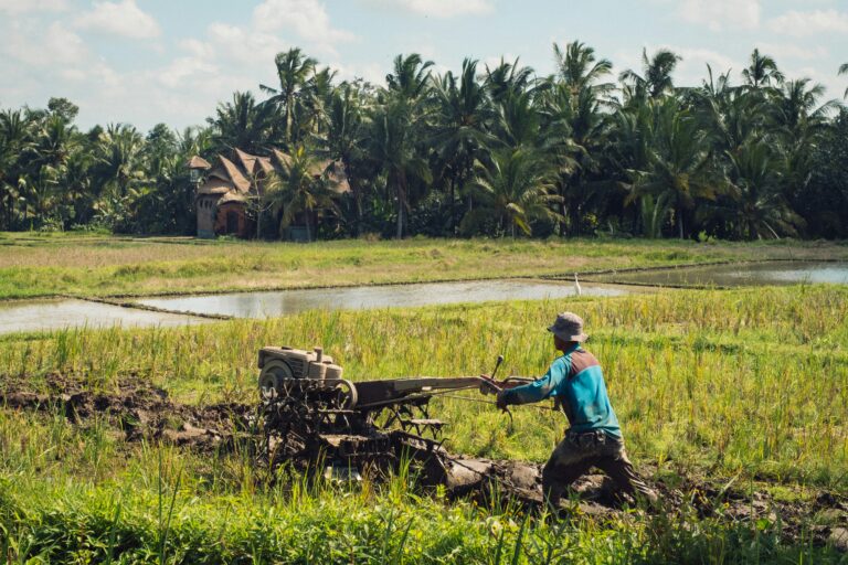 USDA Grants for Homesteaders 2026 — Complete Guide to Free Funding