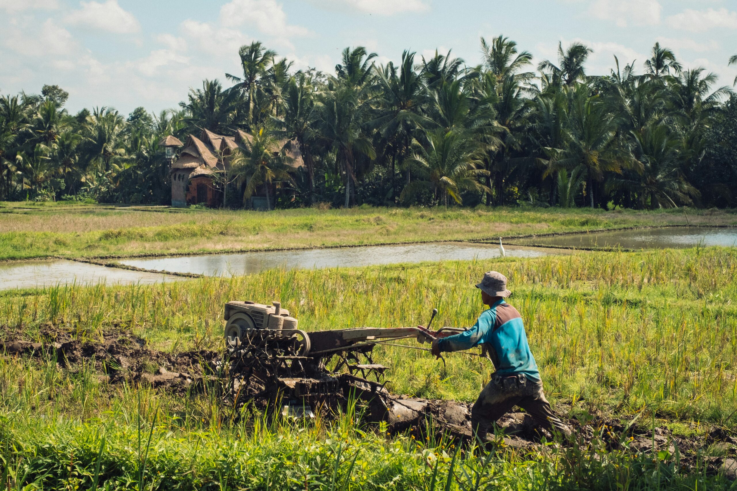USDA Grants for Homesteaders 2026 — Complete Guide to Free Funding