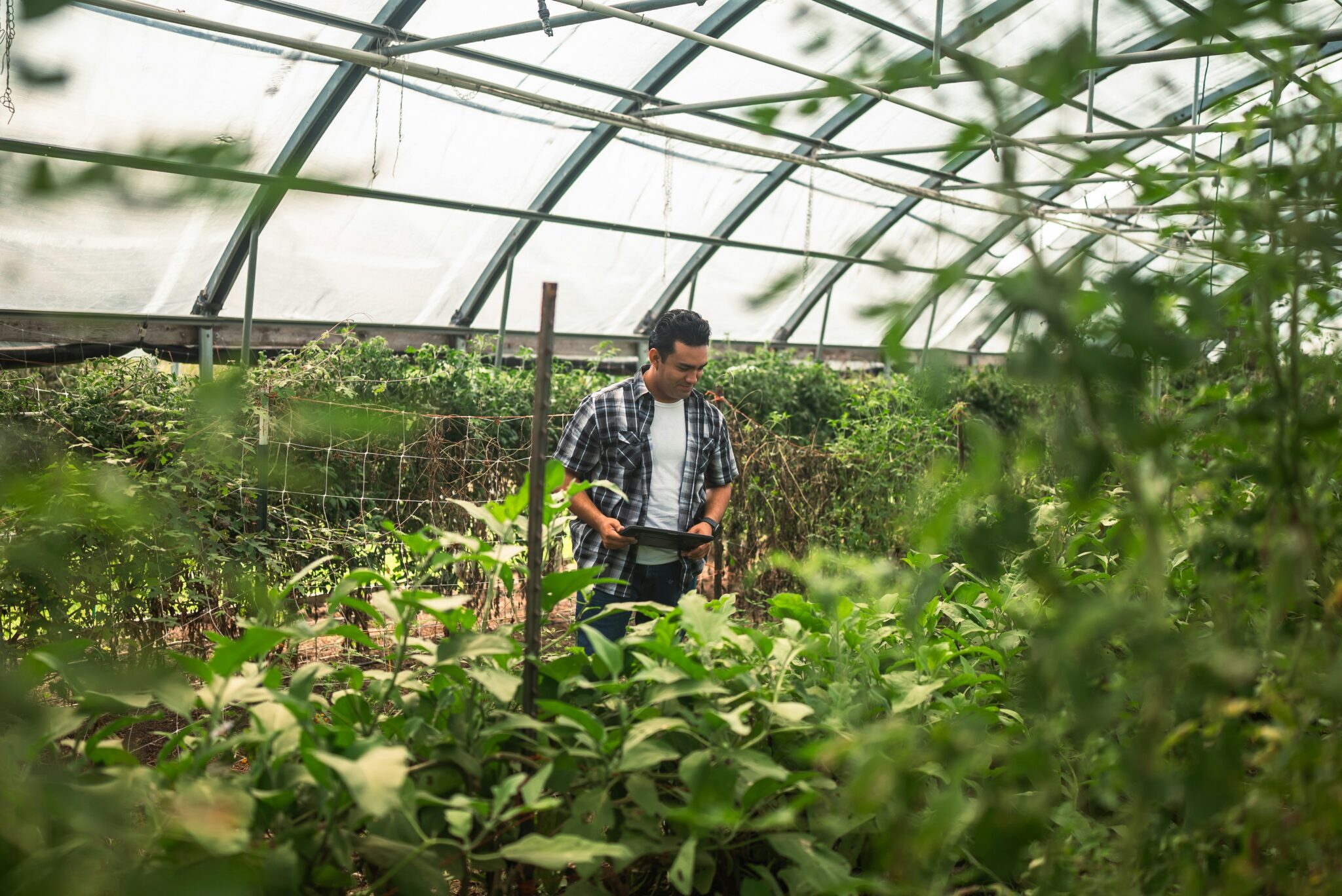 Homesteading for Beginners in 2026 — 10 Skills Every New Homesteader ...