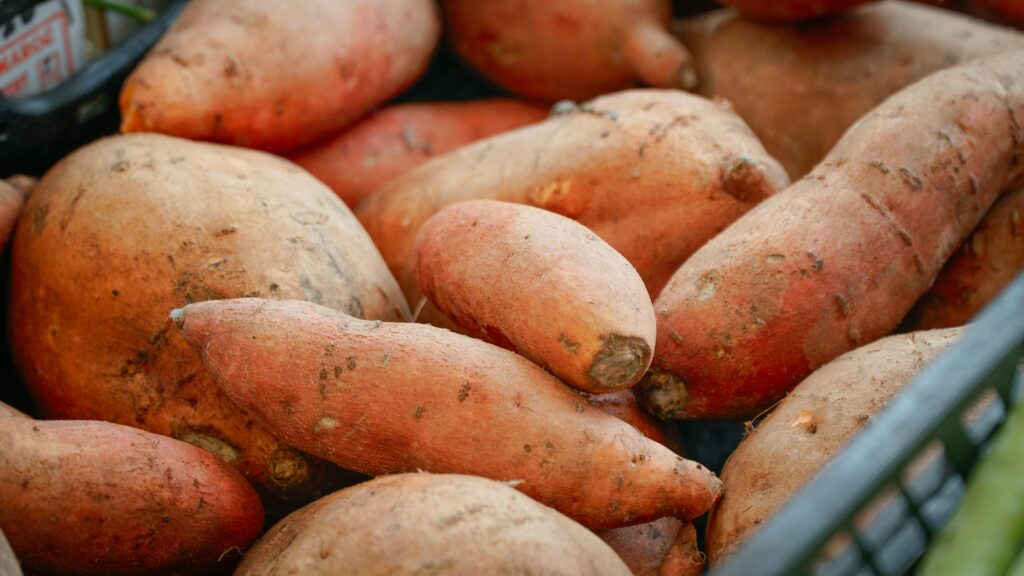 How to Grow Sweet Potatoes — Complete Homesteader's Guide 2026