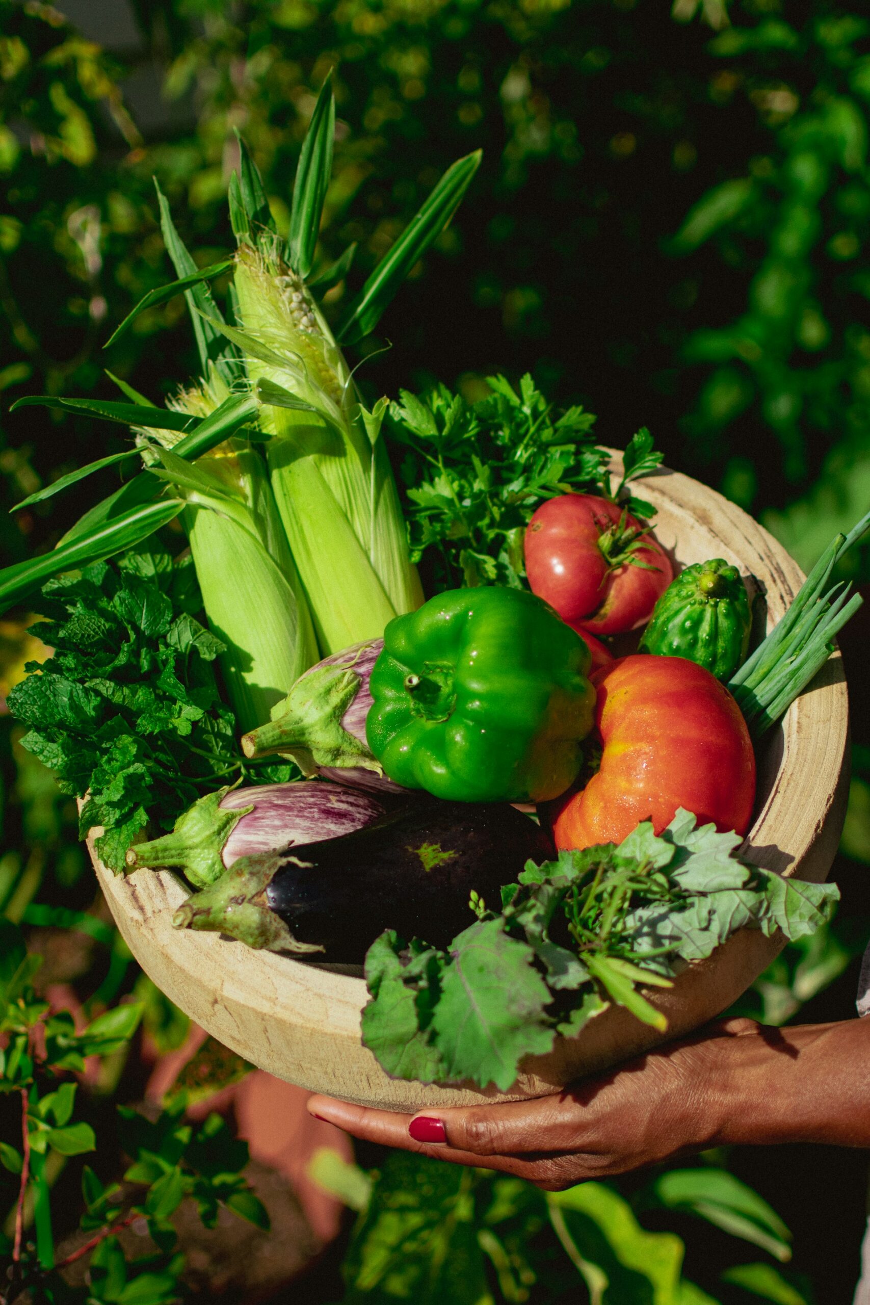 best vegetables to grow for self sufficiency