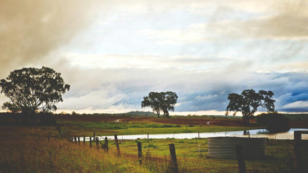 Is It Legal to Collect Rainwater in Your State? — All 50 States (2026)
