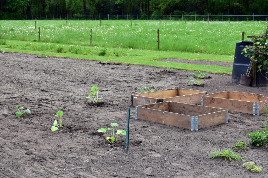 12 Cheapest States to Buy Land for Homesteading in 2026 (Build-Ready Picks): How to Buy Land in the US in 2026 (Without Becoming a Cautionary Tale):