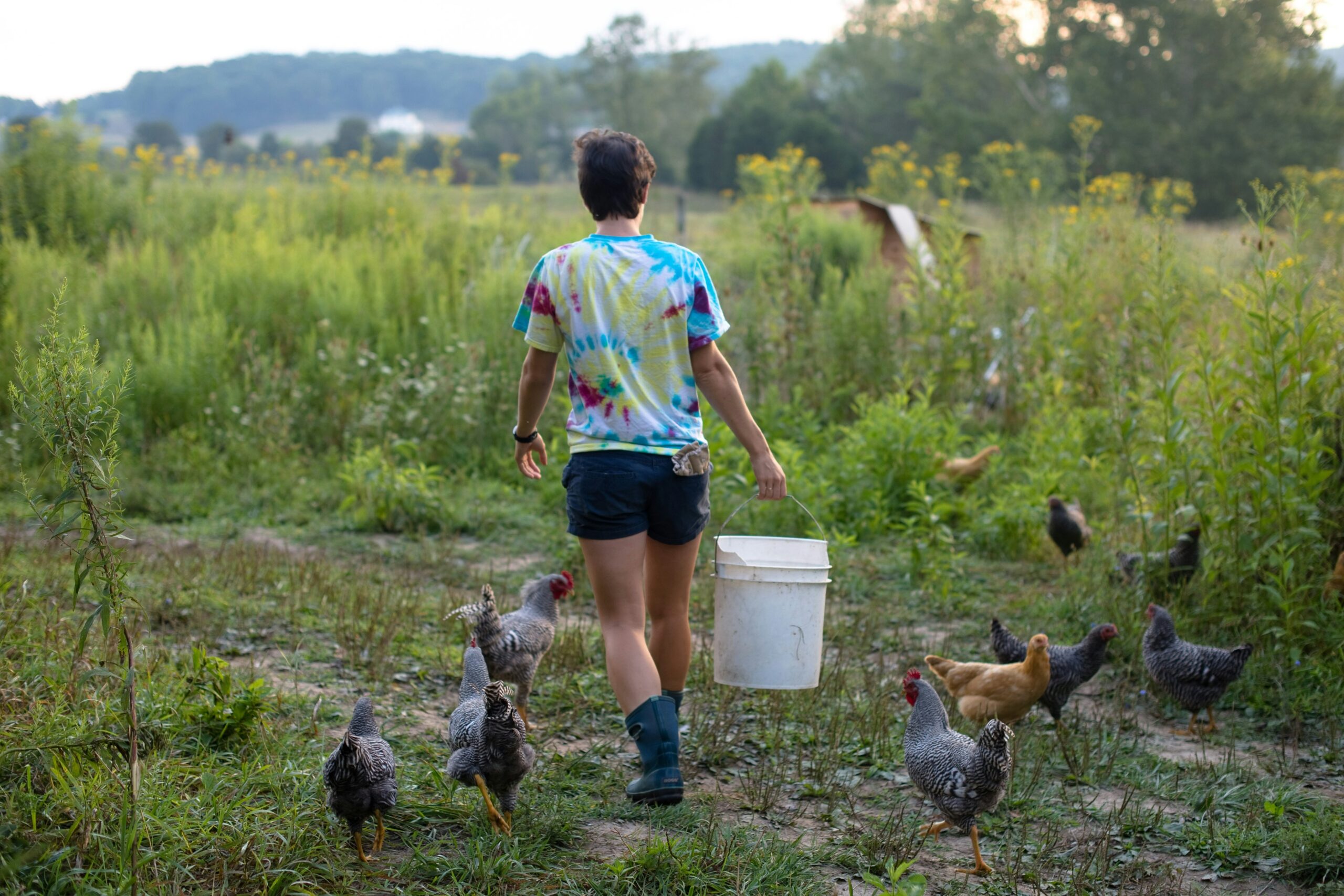what is homesteading