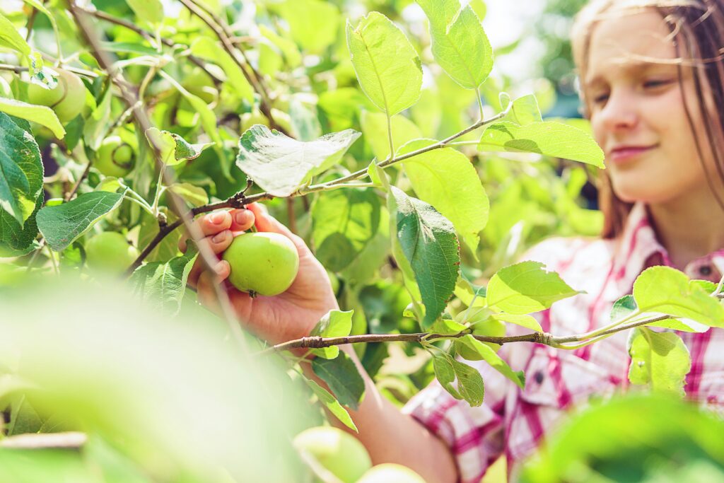9-Best-Fruit-Trees-for-Your-Homestead-in-2026-—-What-to-Plant-First-scaled