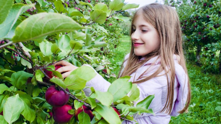 9 Best Fruit Trees for Your Homestead in 2026 — What to Plant First