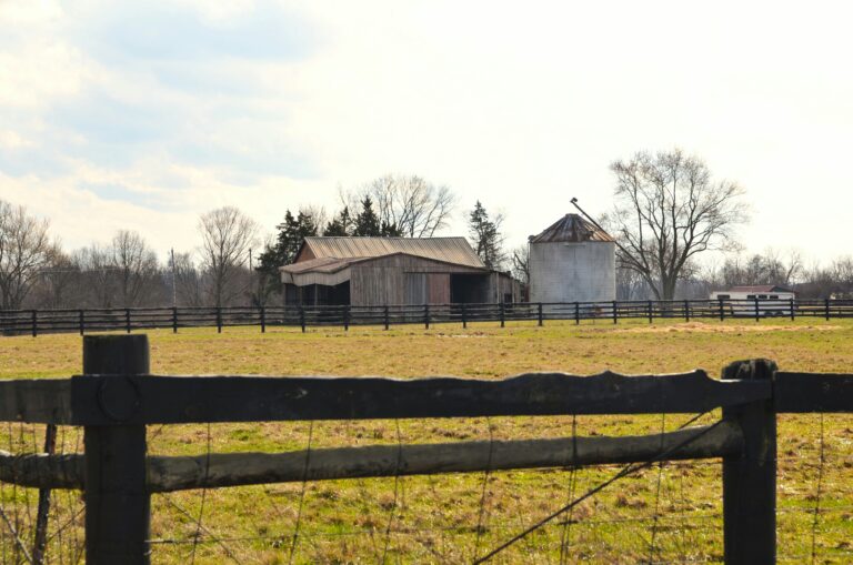 find the perfect homestead land what to look for before you buy