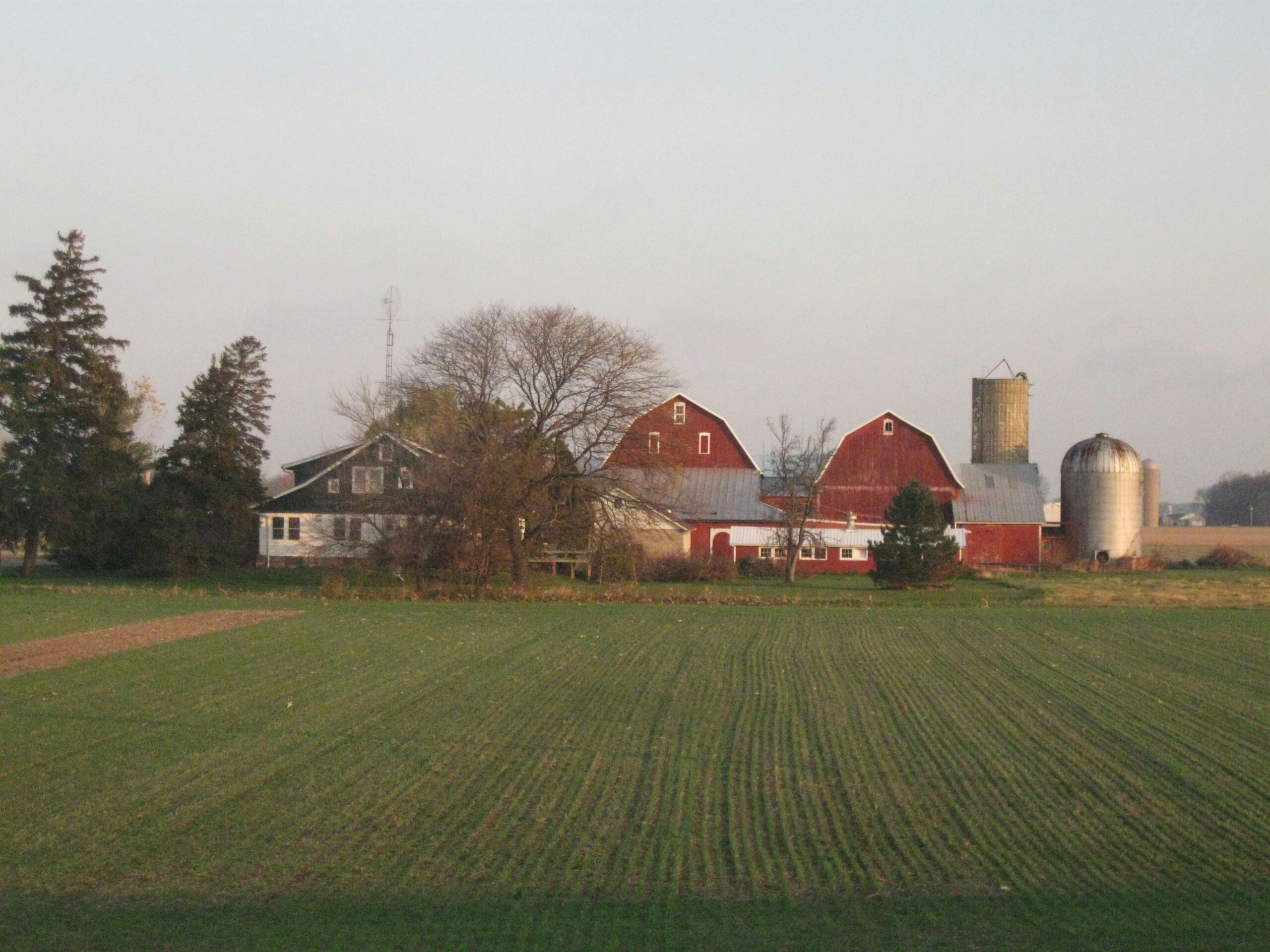 rural land for sale