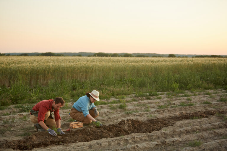 Free Land Programs in Nebraska