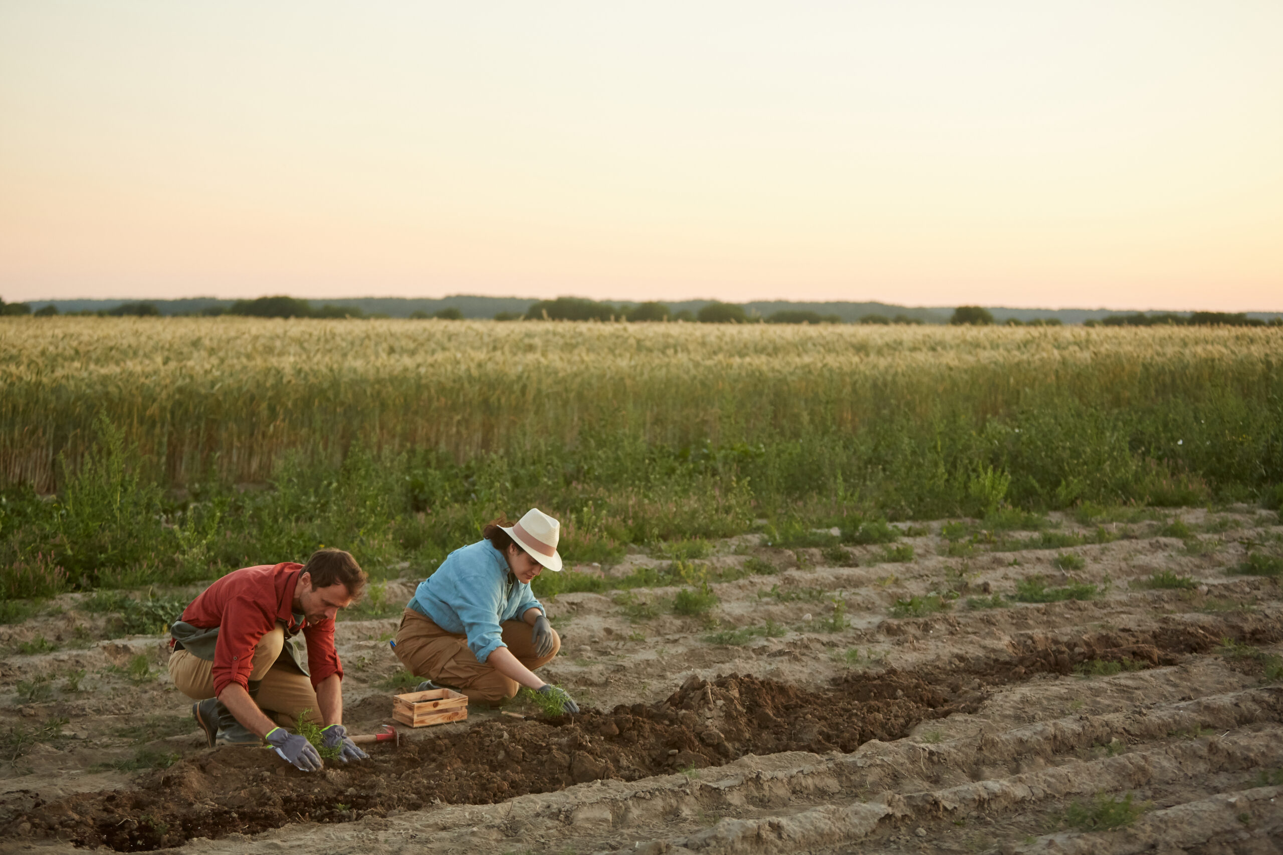 Free Land Programs in Nebraska