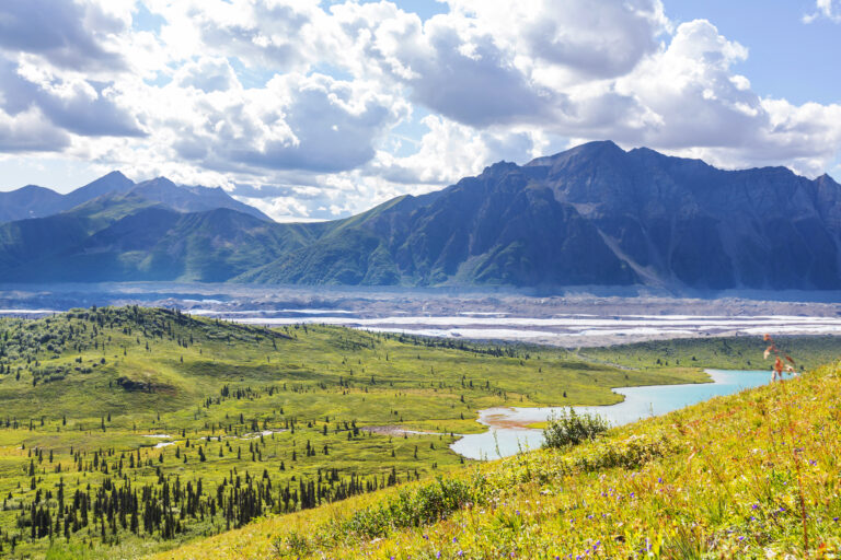 free land in Alaska 2026