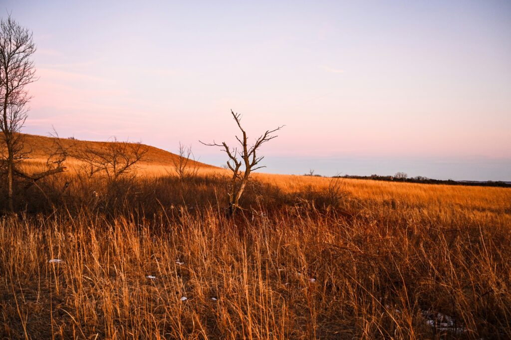 free land in kansas