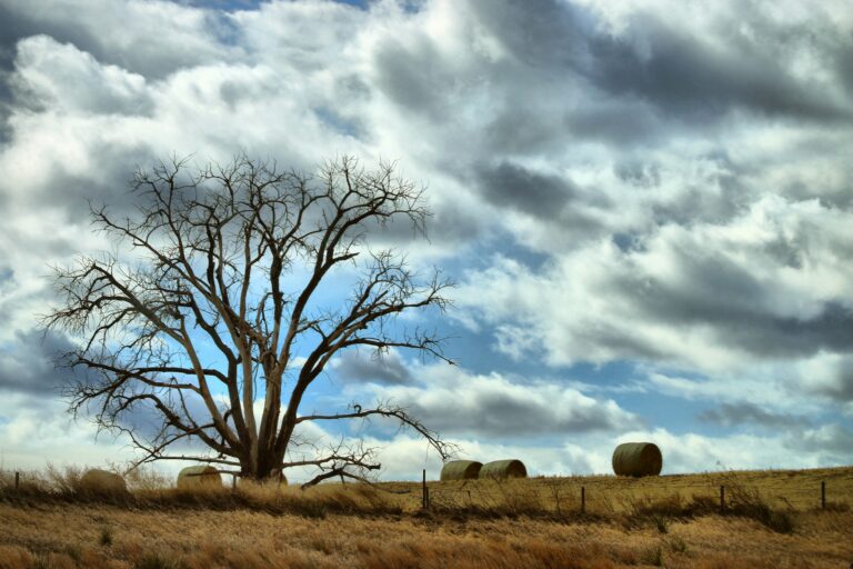 free land in kansas