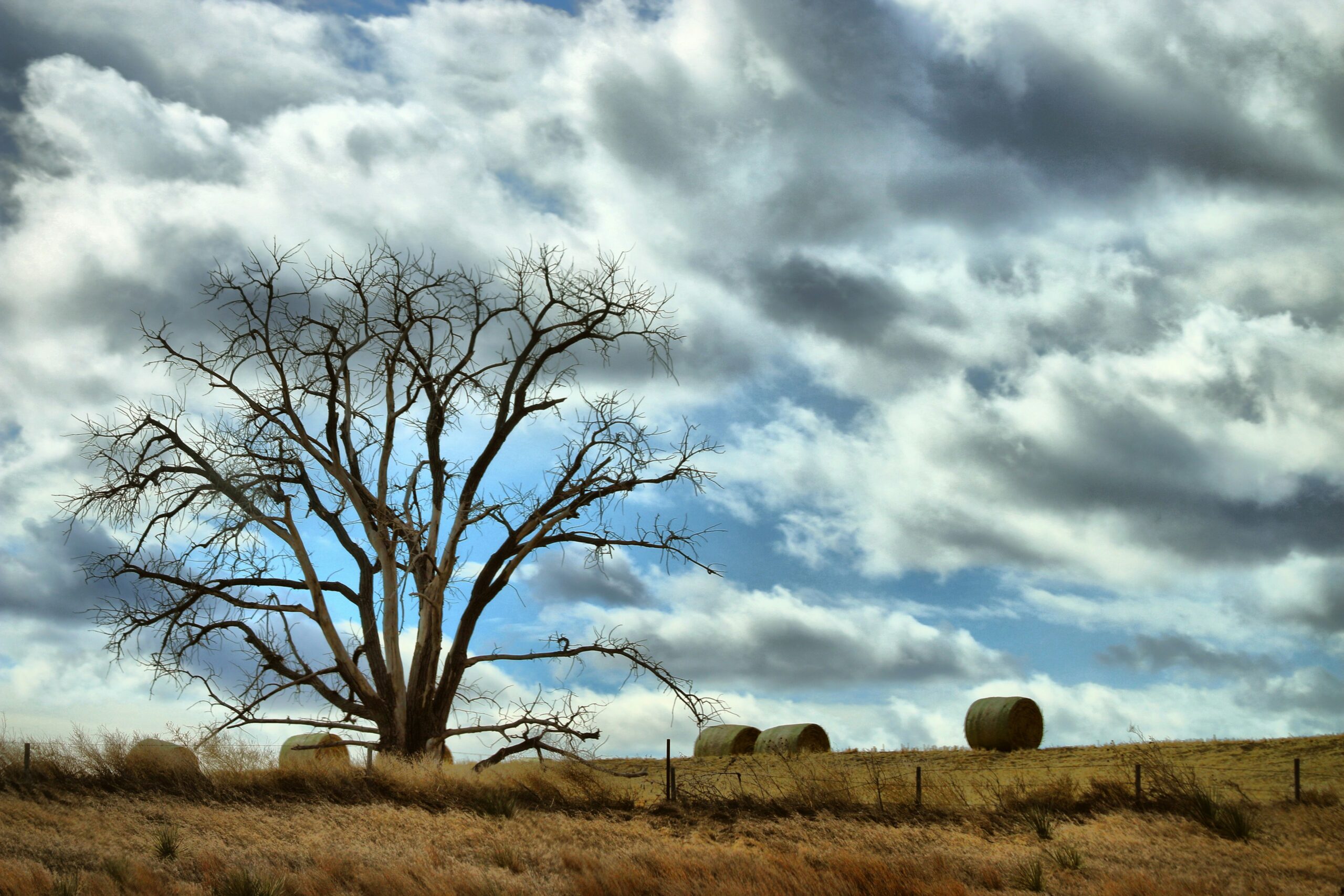 free land in kansas
